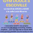 Nouveau cours de Gym Douce avec Elastic